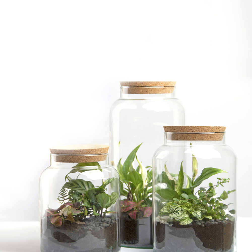 Load image into Gallery viewer, ESSCHERT DESIGN Terrarium Bottle With Lid - Small **Limited Stock**