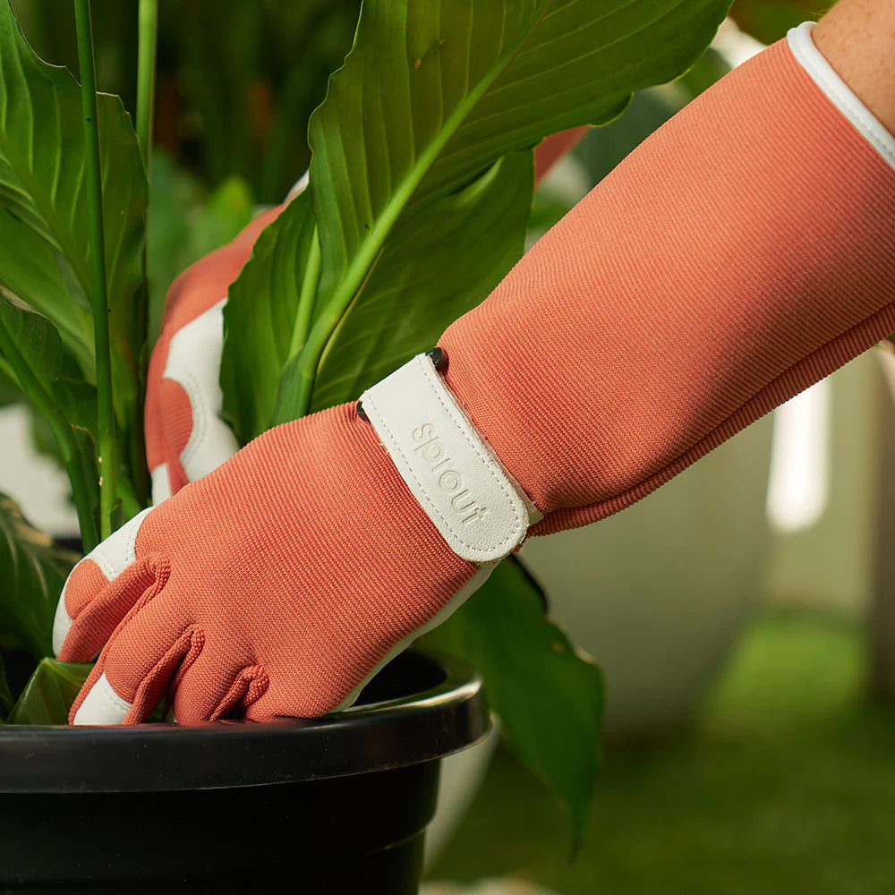 Load image into Gallery viewer, ANNABEL TRENDS 2ND Skin Long Sleeve Large Garden Gloves - Terracotta