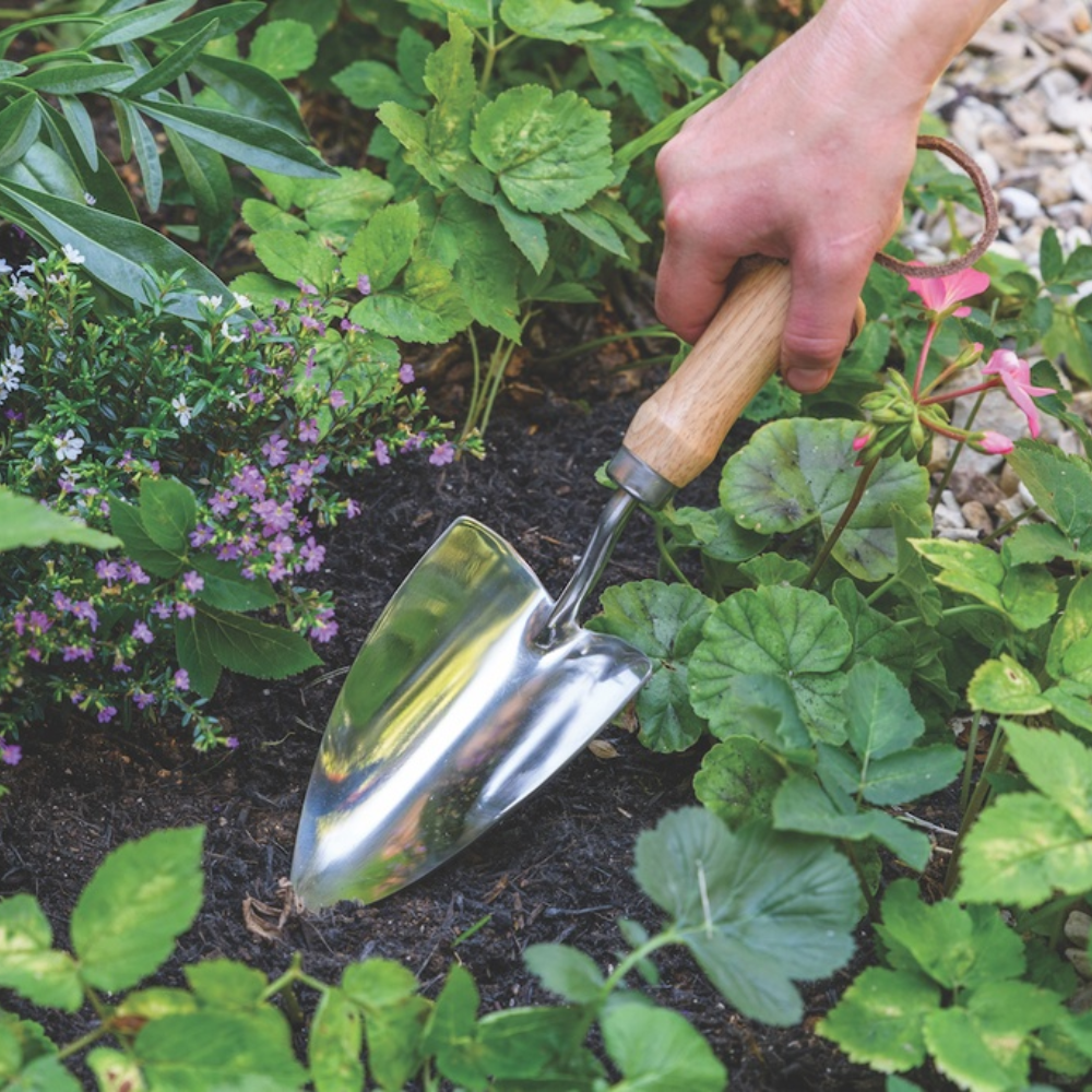 Load image into Gallery viewer, BURGON & BALL Groundbreaker Trowel - Stainless - RHS Endorsed