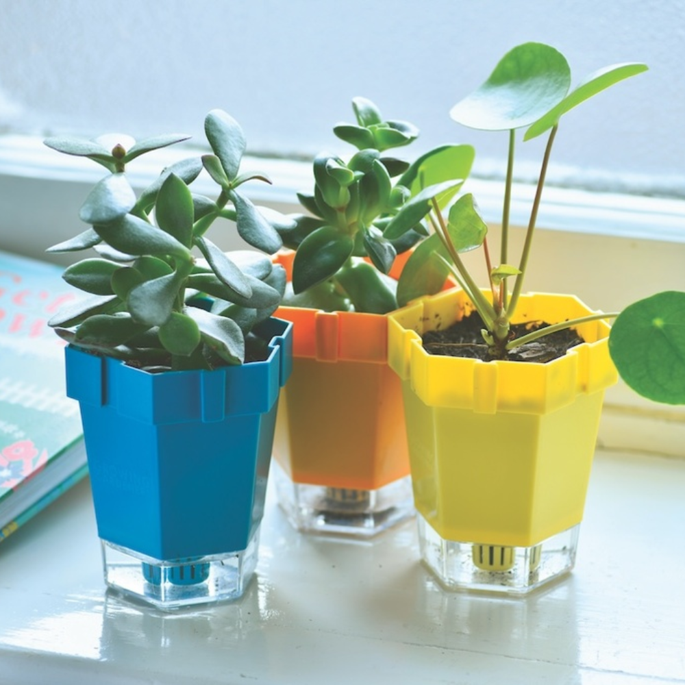 Load image into Gallery viewer, BURGON & BALL Growing Gardeners Link-A-Pot Set of 3