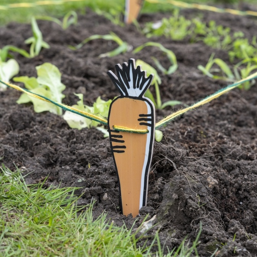 Load image into Gallery viewer, BURGON & BALL Growing Gardeners Vegetable Garden Set