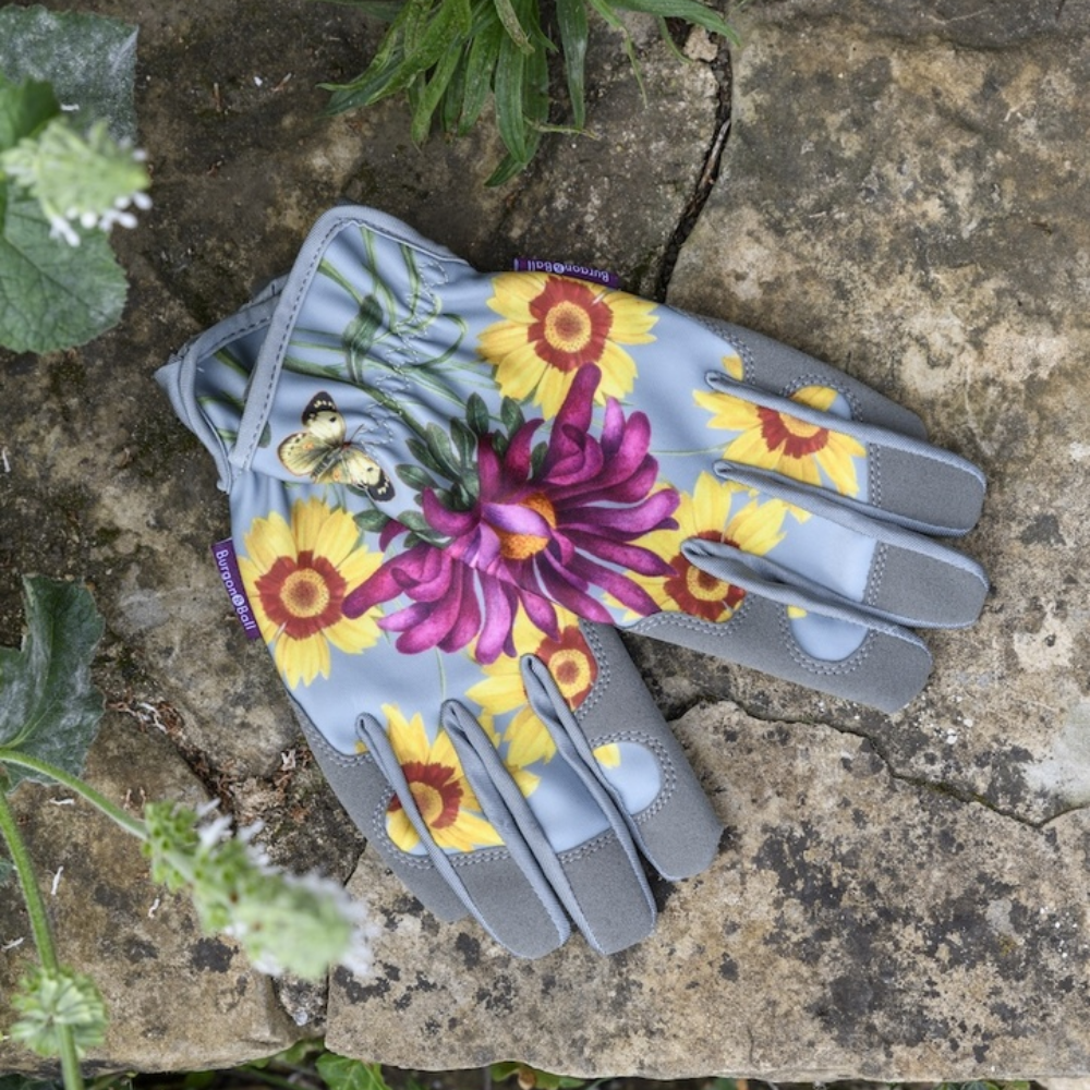 Load image into Gallery viewer, BURGON & BALL RHS Gift Gloves - Asteraceae