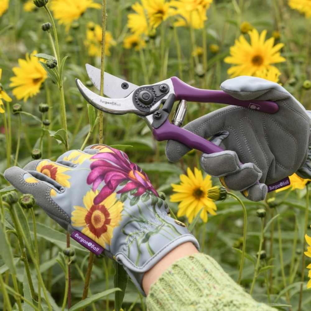 Load image into Gallery viewer, BURGON & BALL RHS Gift Gloves - Asteraceae