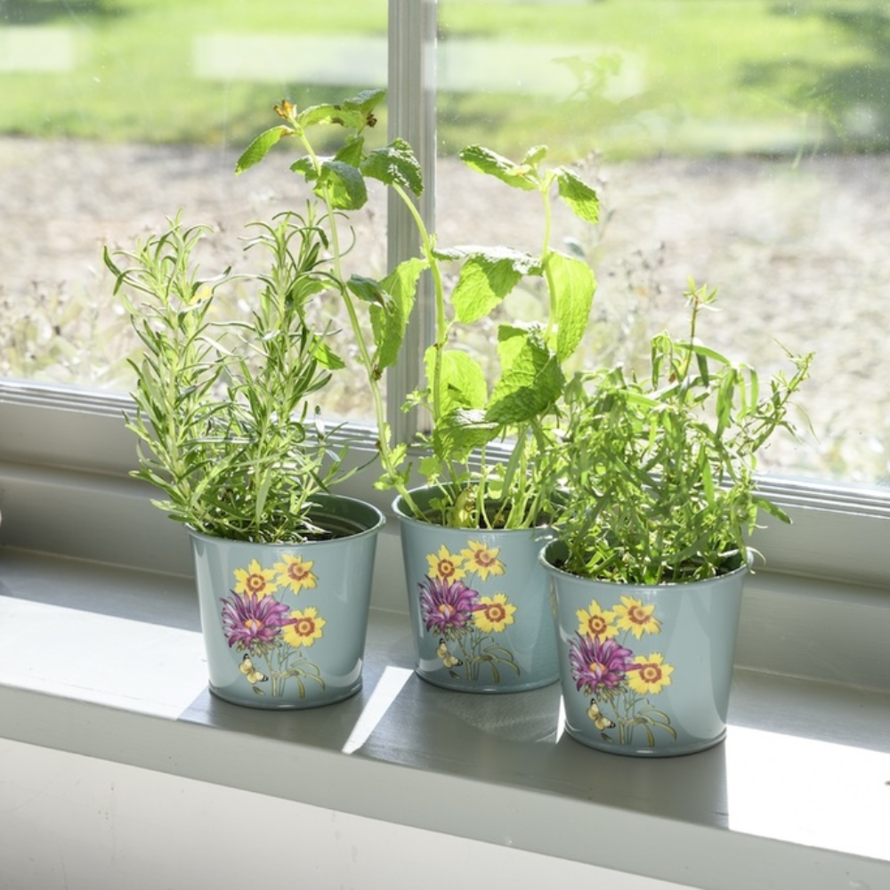 Load image into Gallery viewer, BURGON & BALL Asteraceae Gardener's Gift Set - Ultimate