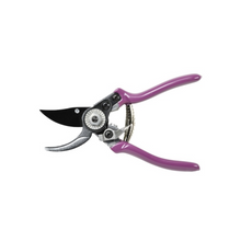 Load image into Gallery viewer, BURGON &amp; BALL RHS Gift Pruner &amp; Holster Set - Asteraceae
