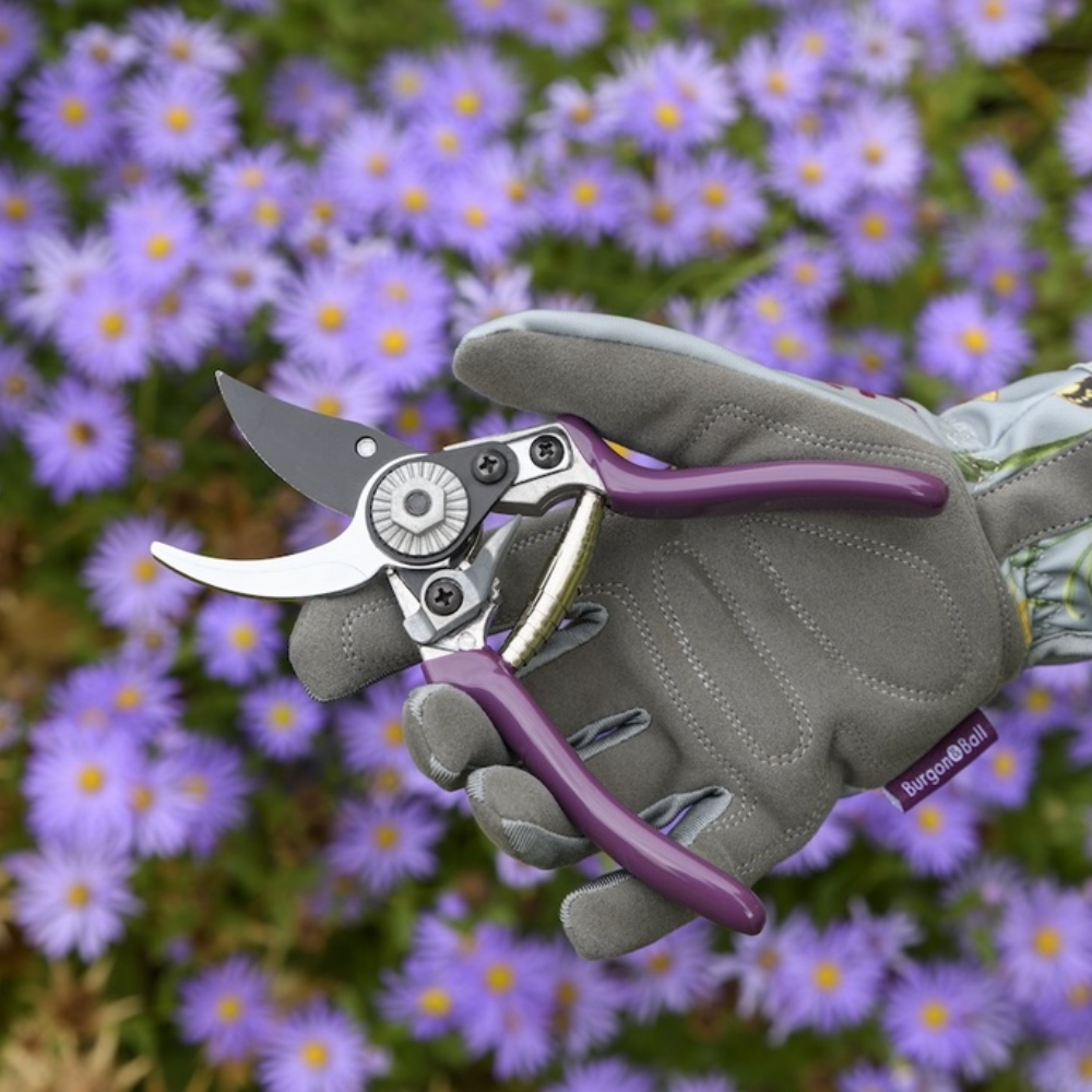 Load image into Gallery viewer, BURGON & BALL Asteraceae Gardener's Gift Set - Harvesting Small
