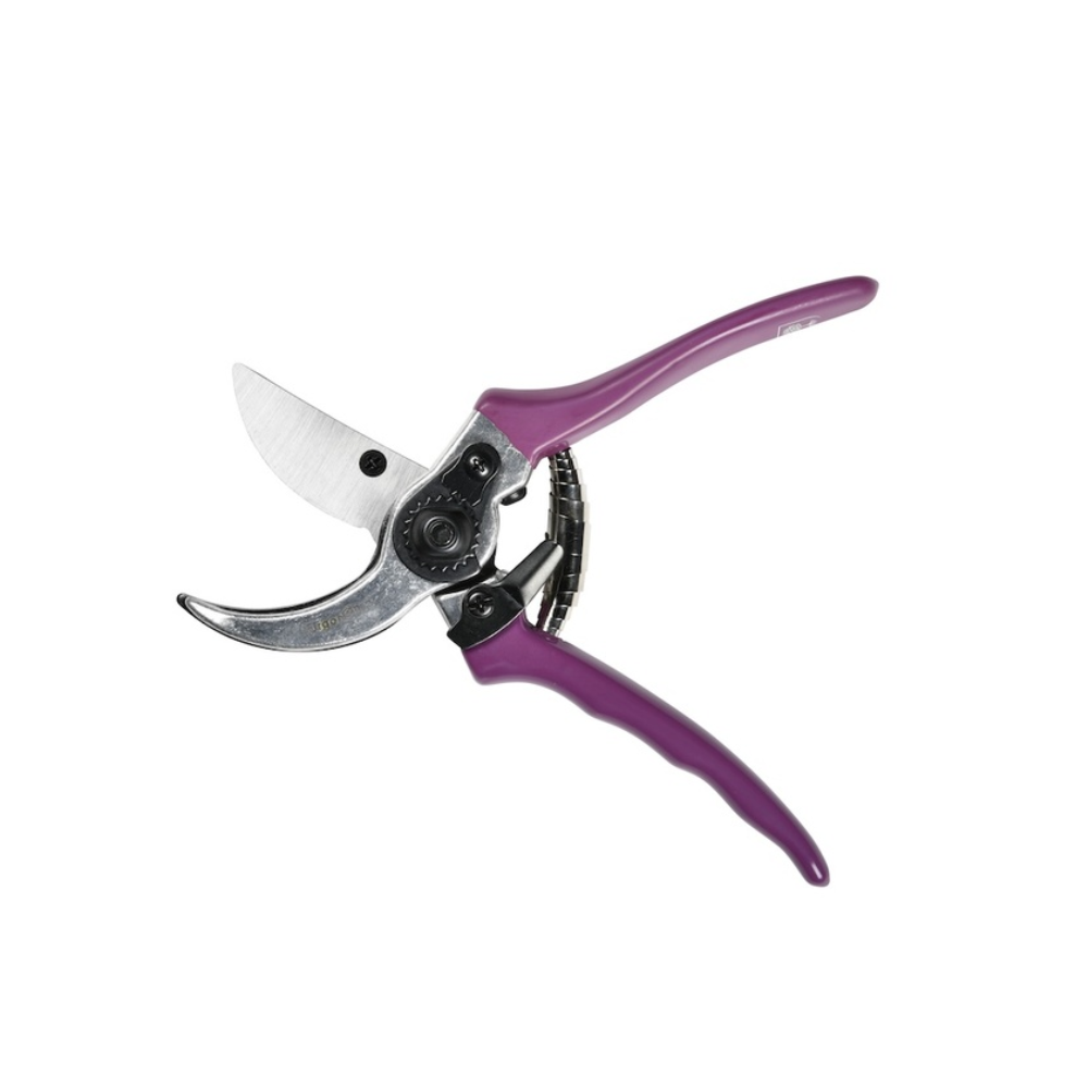 Load image into Gallery viewer, BURGON & BALL RHS Gift Secateurs - Asteraceae
