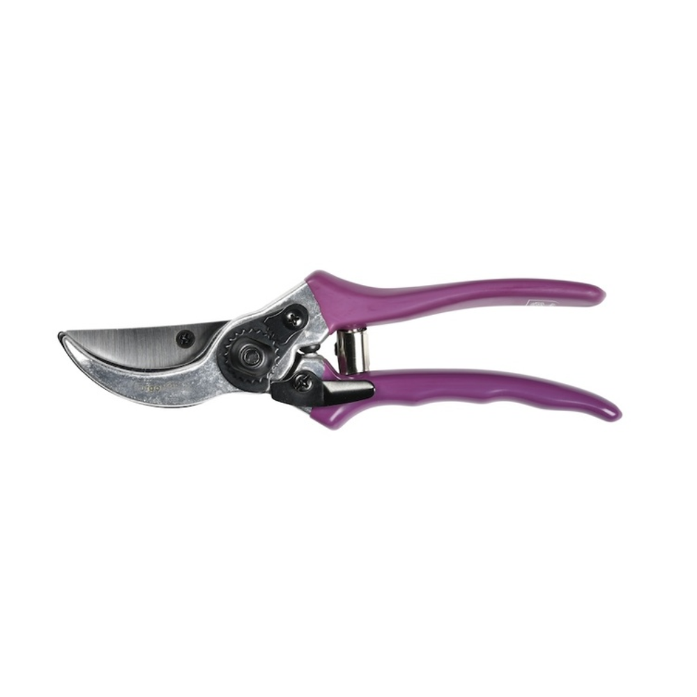 Load image into Gallery viewer, BURGON & BALL RHS Gift Secateurs - Asteraceae