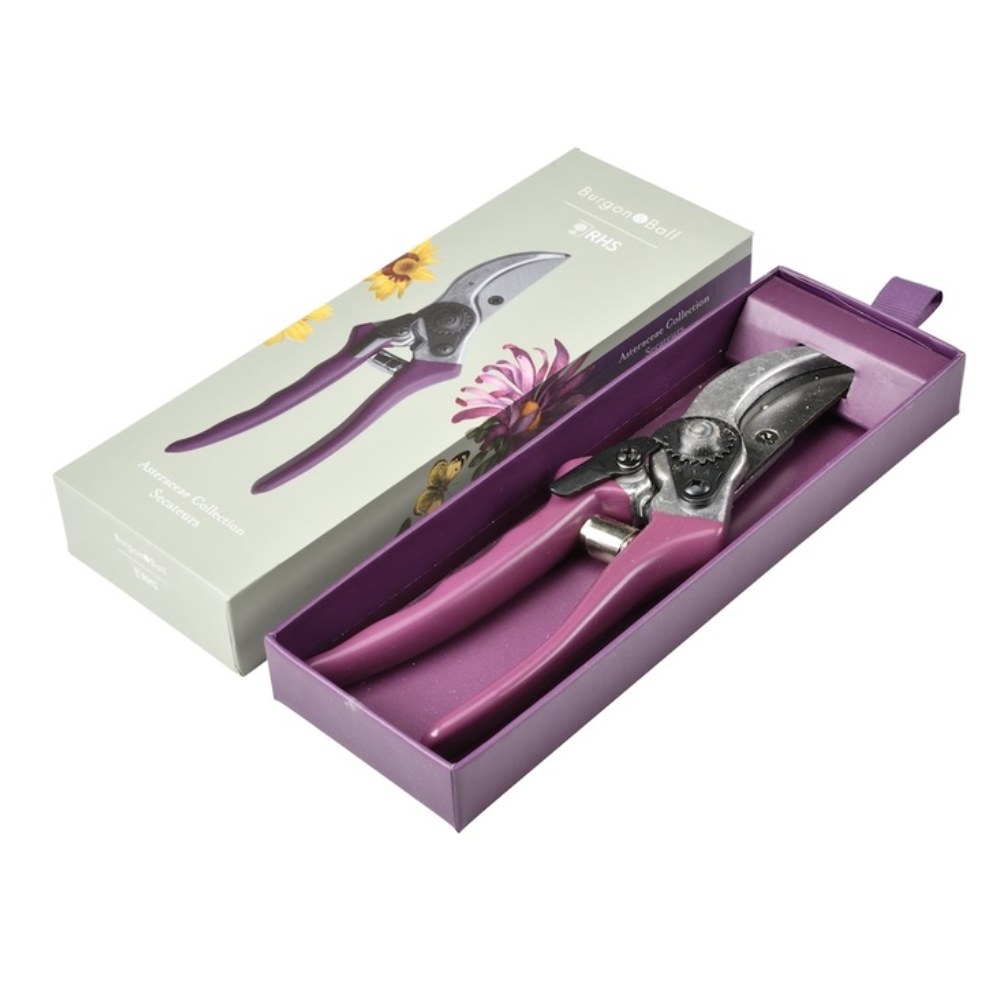 Load image into Gallery viewer, BURGON & BALL RHS Gift Secateurs - Asteraceae