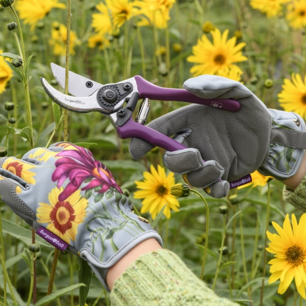 Load image into Gallery viewer, BURGON & BALL Asteraceae Gardener's Gift Set - Ultimate