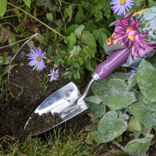 Load image into Gallery viewer, BURGON &amp; BALL RHS Gift Trowel &amp; Fork - Asteraceae