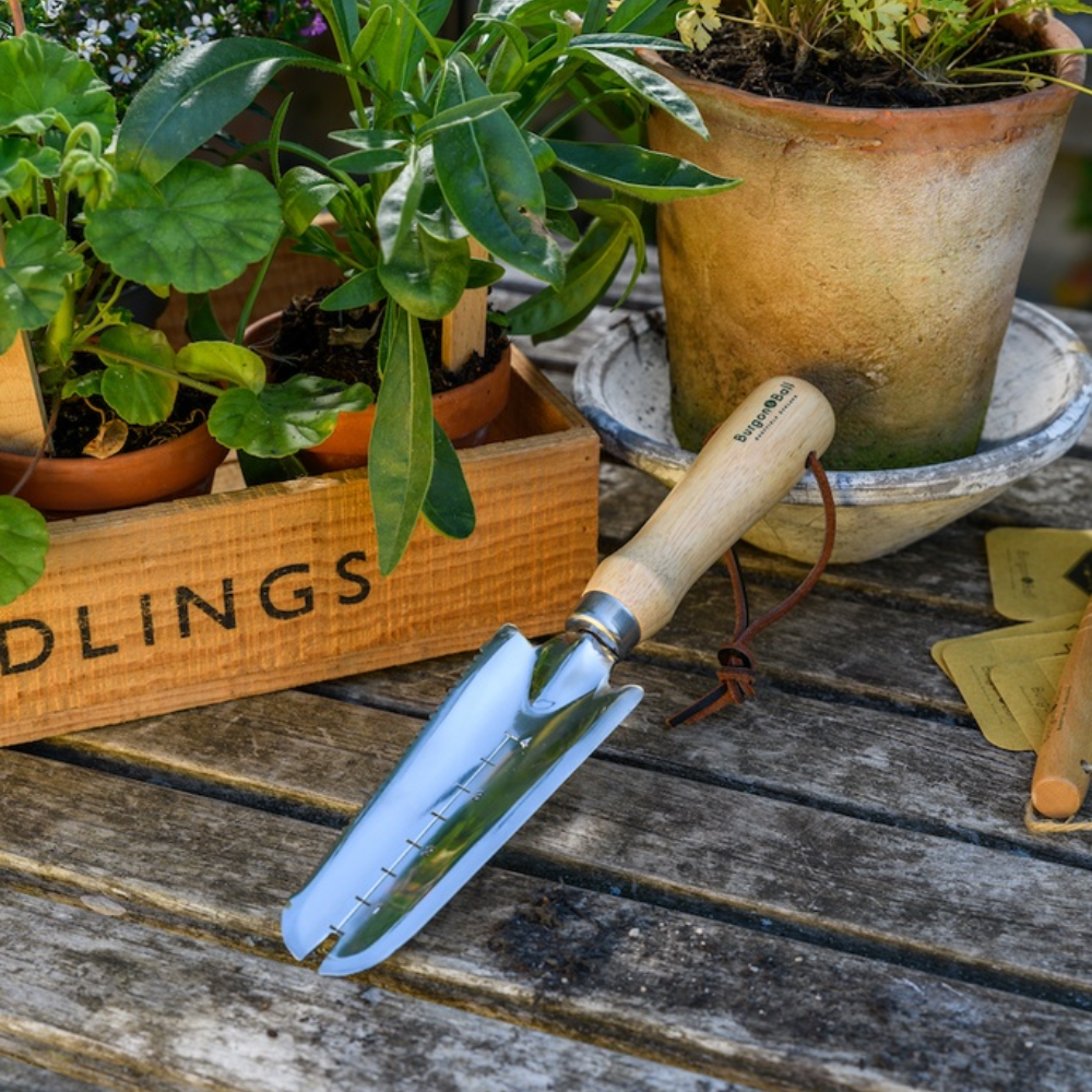 Load image into Gallery viewer, BURGON & BALL Weeding Trowel - Stainless - RHS Endorsed