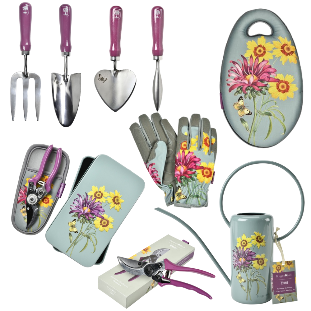 Load image into Gallery viewer, BURGON & BALL Asteraceae Gardener's Gift Set - Deluxe