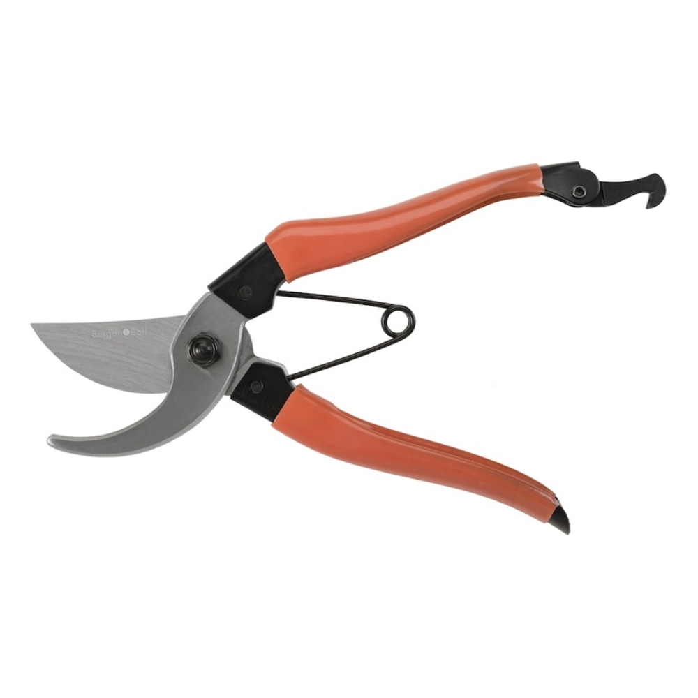 Load image into Gallery viewer, BURGON & BALL Collector Series Bypass Secateurs - Red