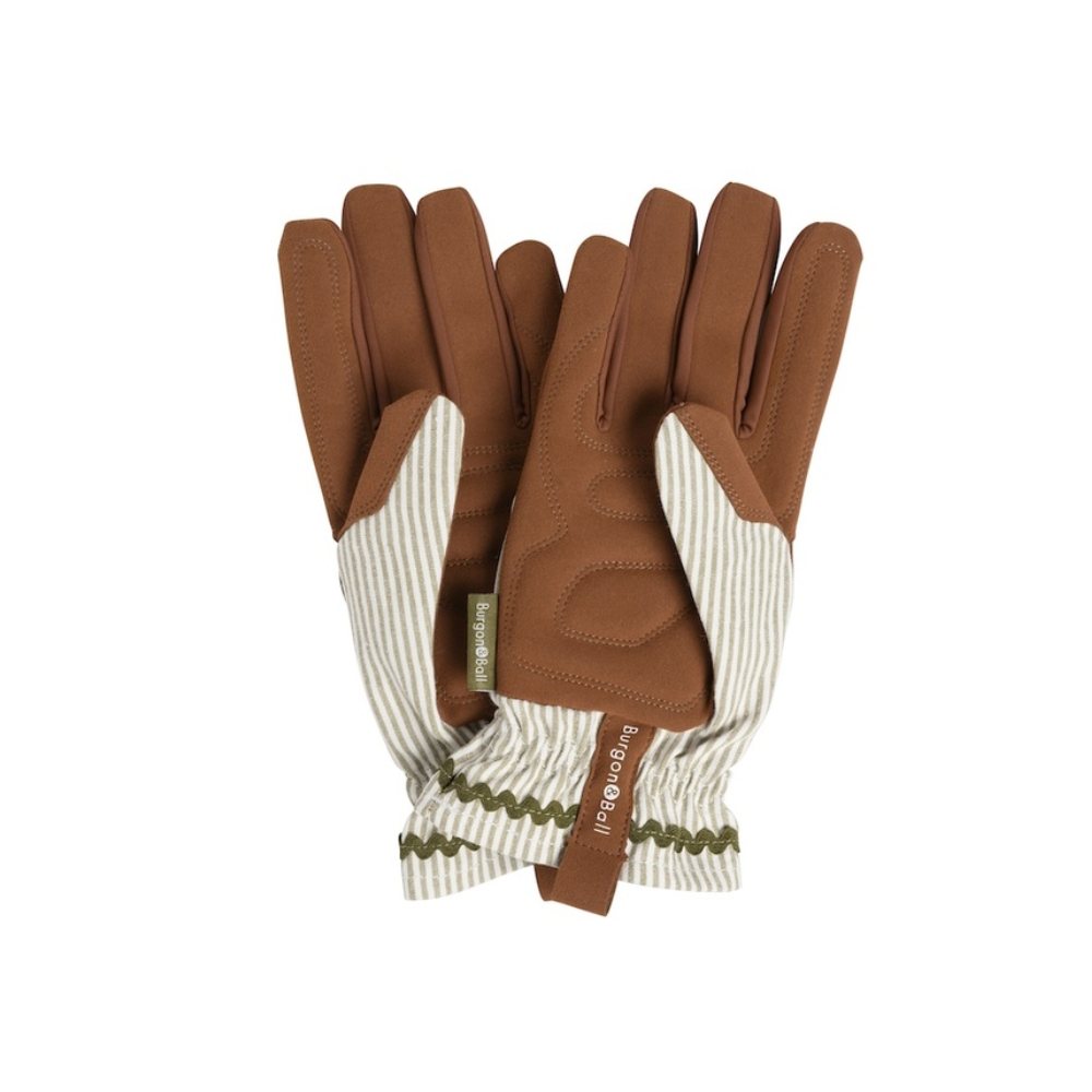 Load image into Gallery viewer, BURGON & BALL Collector Series Gloves - Olive Stripe