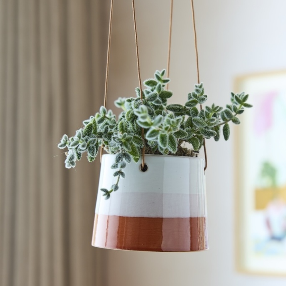 Load image into Gallery viewer, BURGON & BALL Collector Series Hanging Pot 12.5cm - Blush
