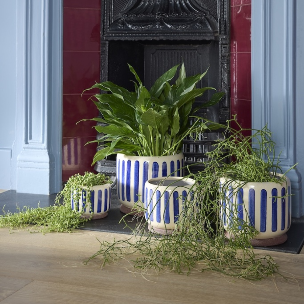 Load image into Gallery viewer, BURGON & BALL Collector Series Indoor Pots 10cm - Blue
