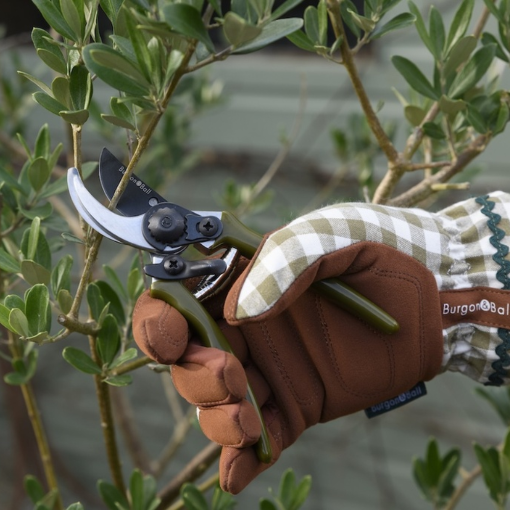 Load image into Gallery viewer, BURGON & BALL Collector Series Micro Secateurs - Olive