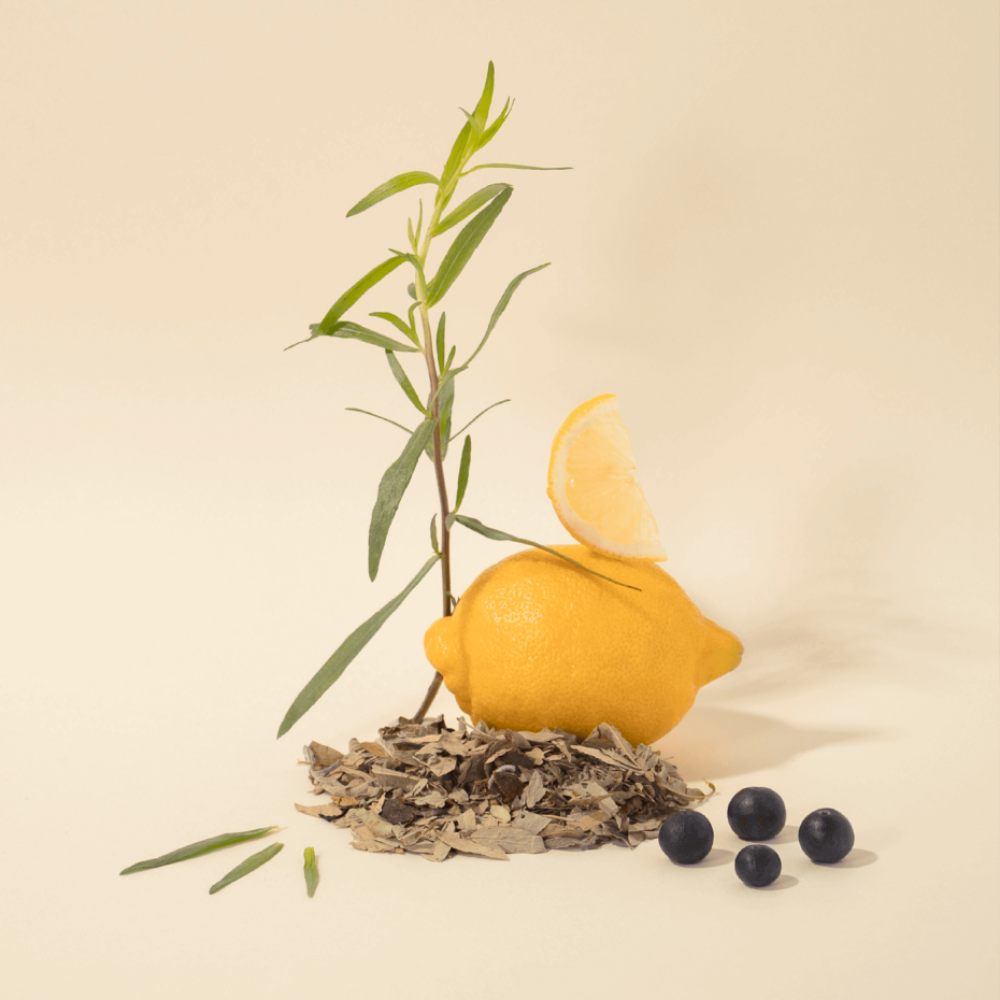 Load image into Gallery viewer, COMPAGNIE DE PROVENCE | Hand Cream 300ml - Delicate