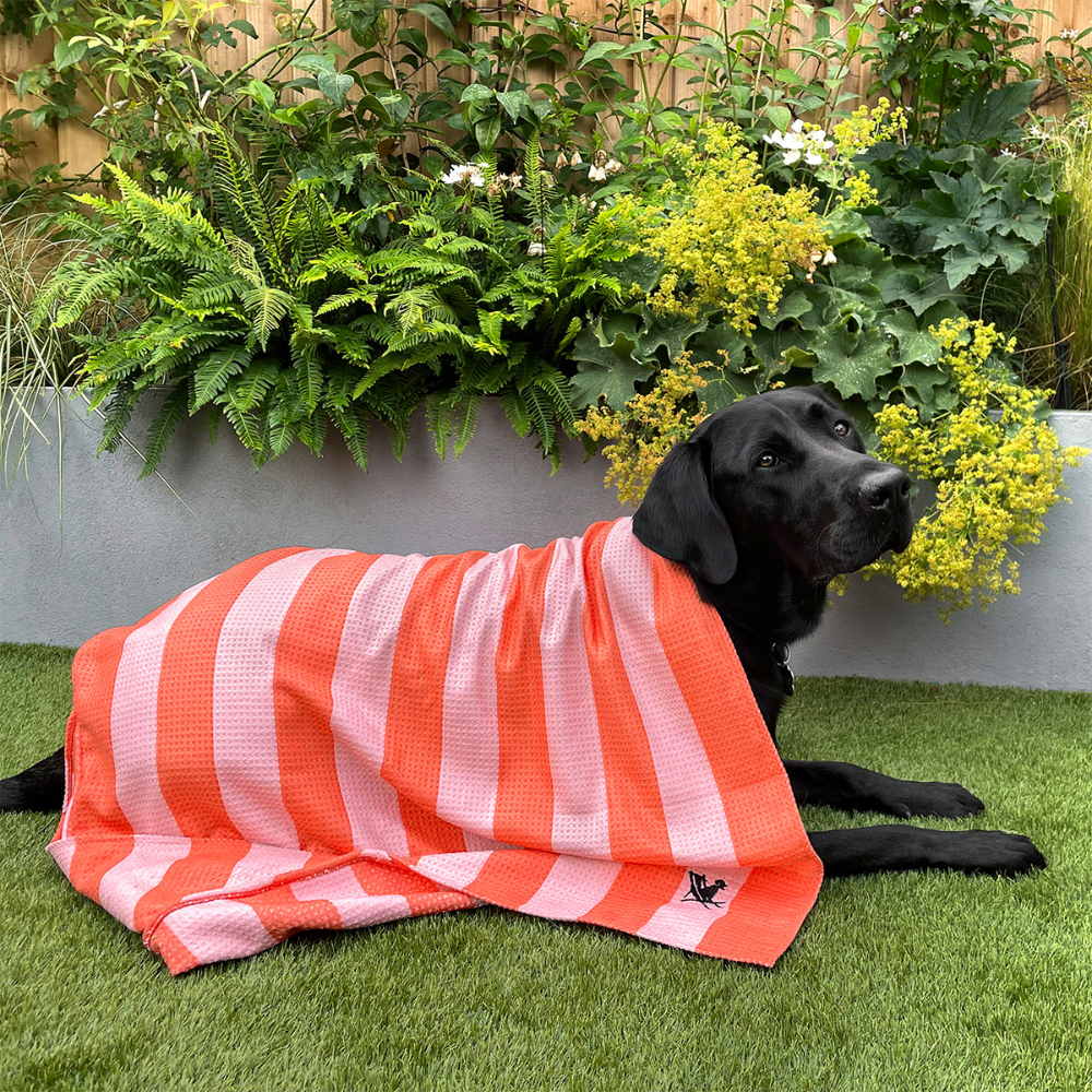 Load image into Gallery viewer, DOCK & BAY Dog Towel Large 100% Recycled - Canine Coral