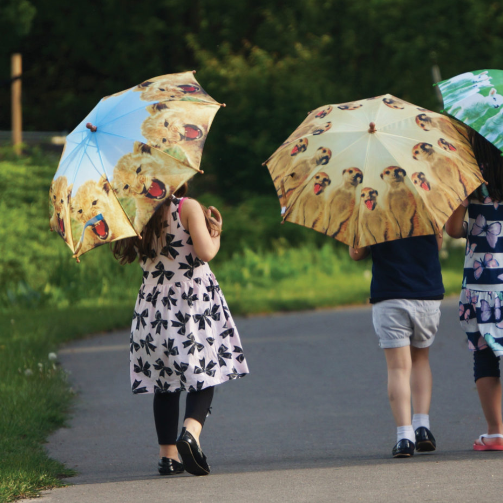 Load image into Gallery viewer, ESSCHERT DESIGN Children's 'Out of Africa' Umbrella - Lion