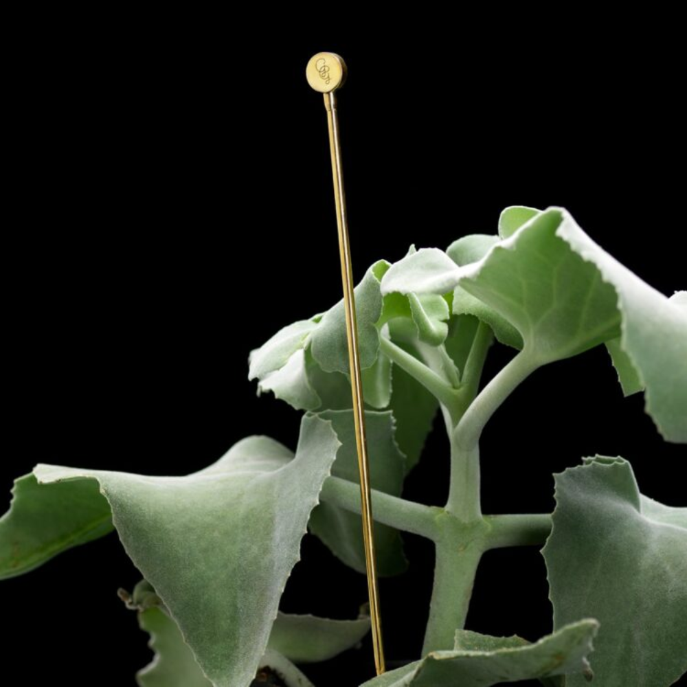 Load image into Gallery viewer, GARDEN GLORY Flower Stick - GG Button **Limited Stock**
