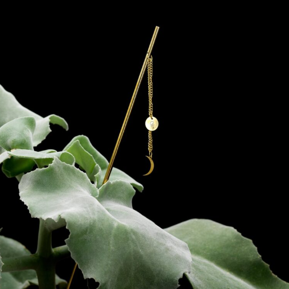 Load image into Gallery viewer, GARDEN GLORY Flower Stick - Moon **Limited Stock**