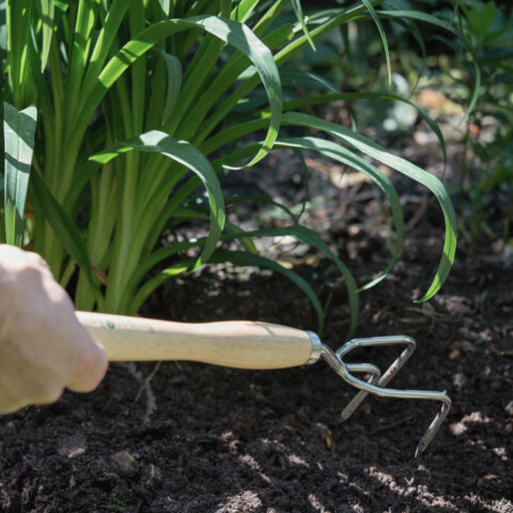 Load image into Gallery viewer, BURGON & BALL Mid Handled Garden Claw - RHS Endorsed