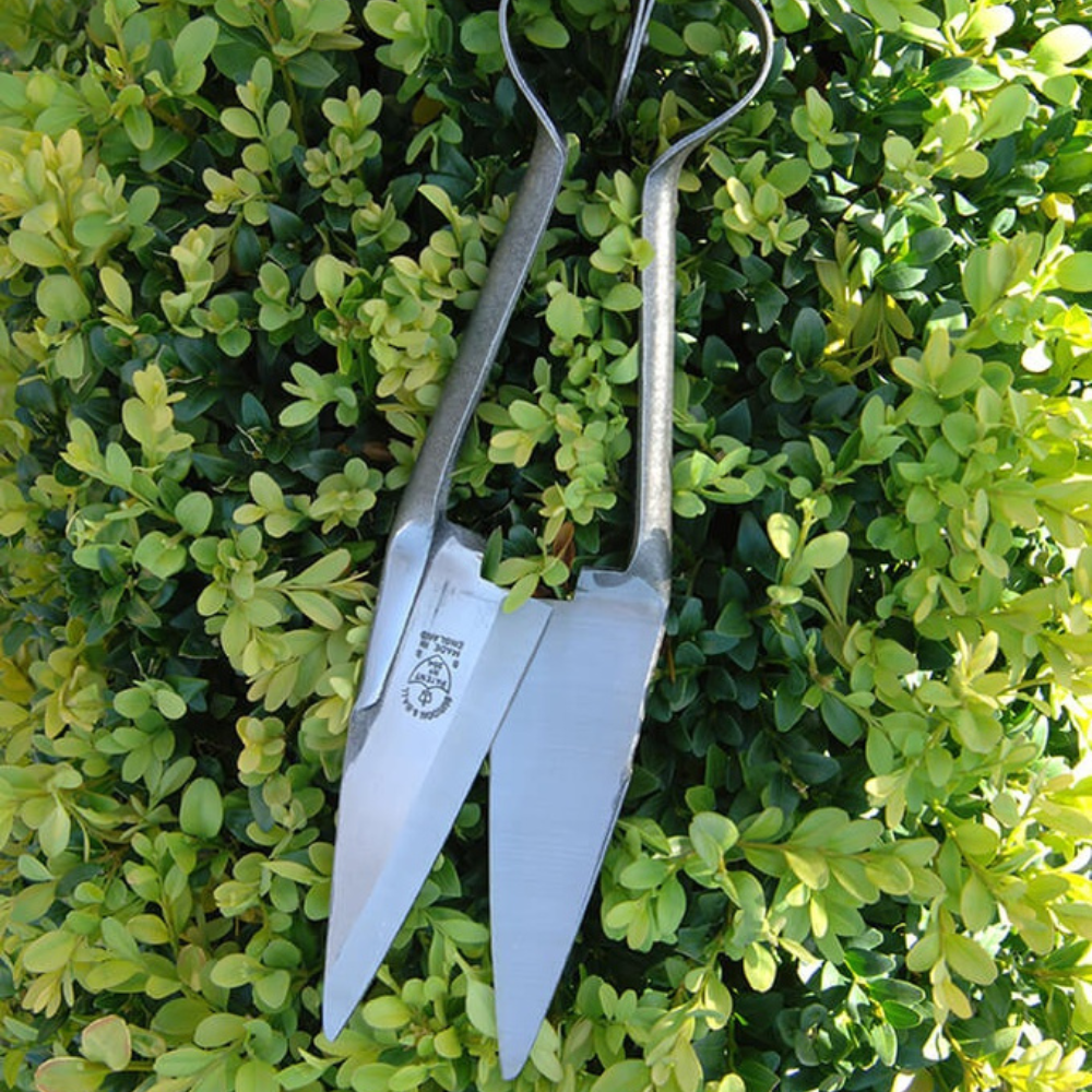 Load image into Gallery viewer, BURGON & BALL Professional Soft Squeeze Shears - Large