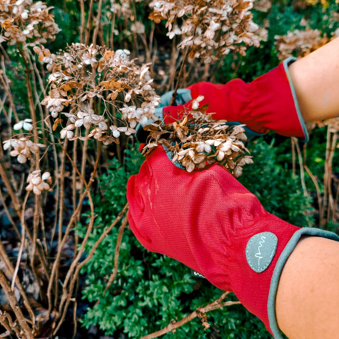 Load image into Gallery viewer, Martha's Vineyard Glove 'The Original' - Waratah - Medium