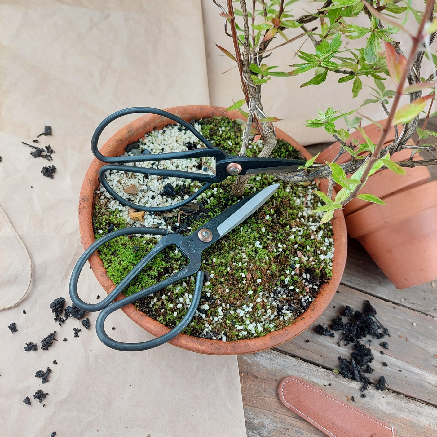 Load image into Gallery viewer, MARTHA'S VINEYARD Garden & Florist Scissors with Sheath - Medium