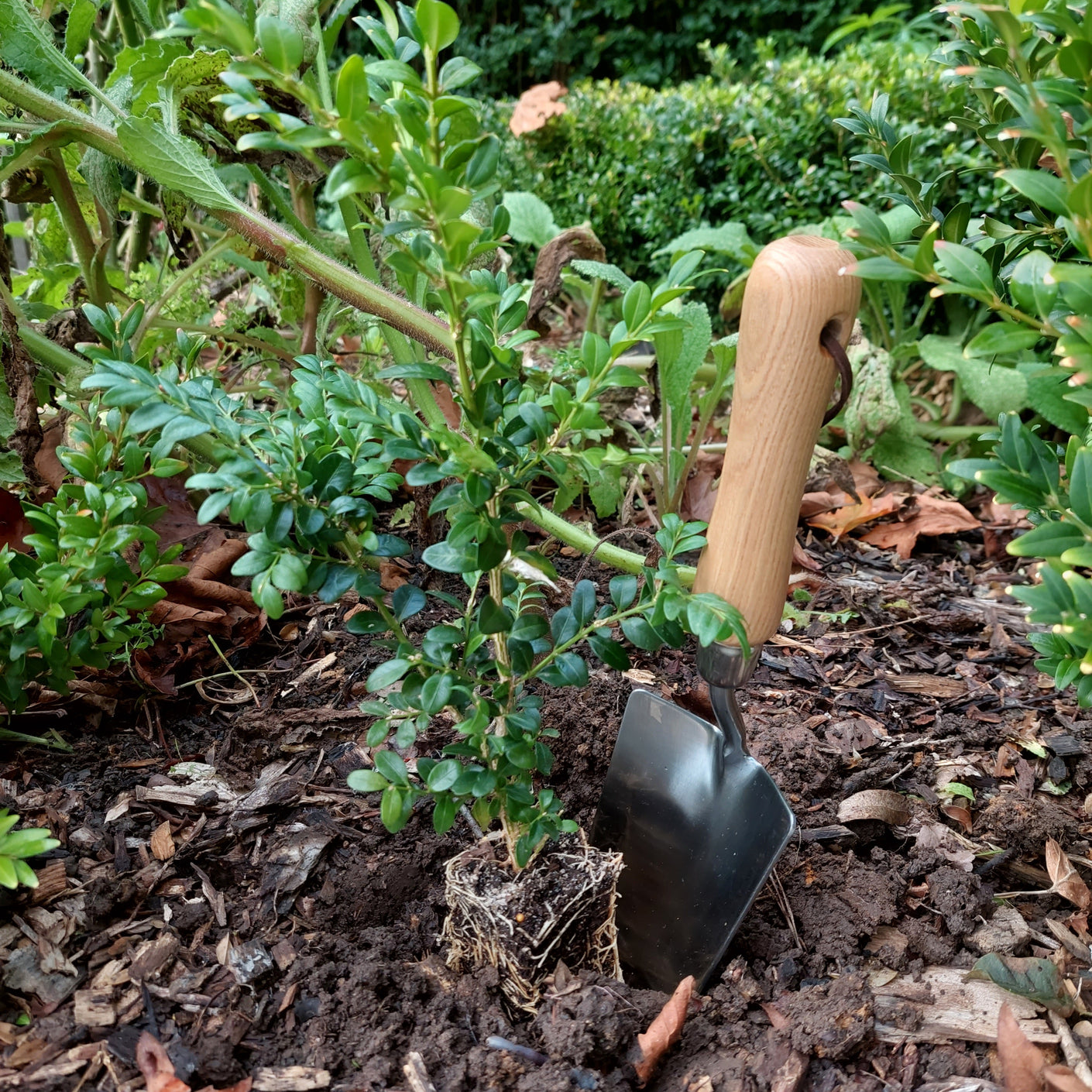 Load image into Gallery viewer, MARTHA'S VINEYARD Hand Trowel - Stainless Steel