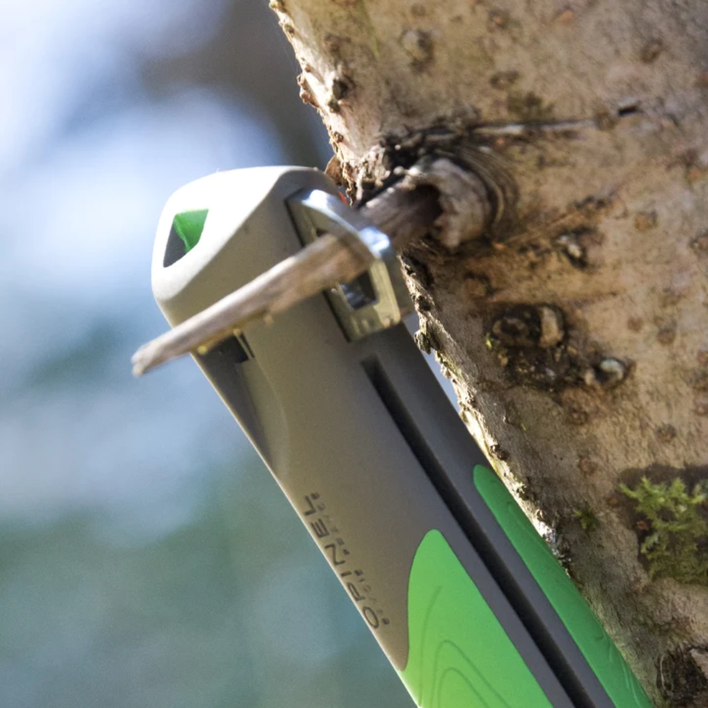 Load image into Gallery viewer, OPINEL Explore N12 With Tick Remover - Green
