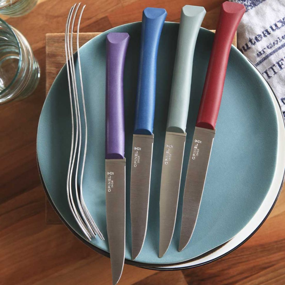 Load image into Gallery viewer, OPINEL N125 Bon Appetit Table Knife Set of 4 - Glam