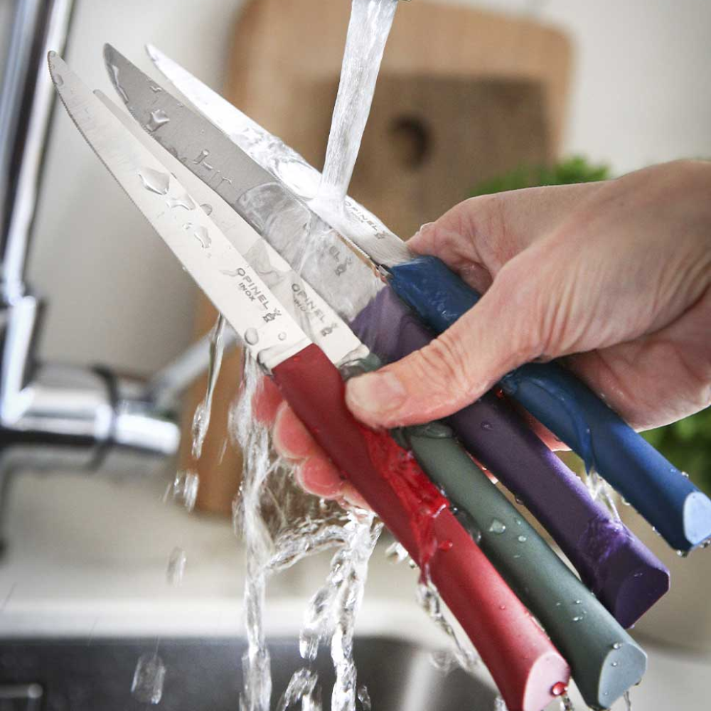 Load image into Gallery viewer, OPINEL N125 Bon Appetit Table Knife Set of 4 - Glam
