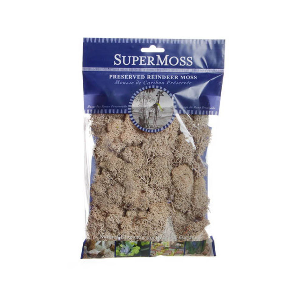 SUPERMOSS Reindeer Moss Preserved 55g Bag - Natural