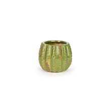 Load image into Gallery viewer, MARTHA&#39;S VINEYARD Cactus Planter - Small