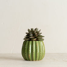 Load image into Gallery viewer, MARTHA&#39;S VINEYARD Cactus Planter - Medium
