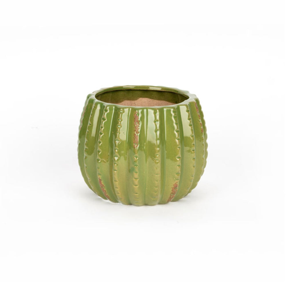 Load image into Gallery viewer, MARTHA'S VINEYARD Cactus Planter - Large