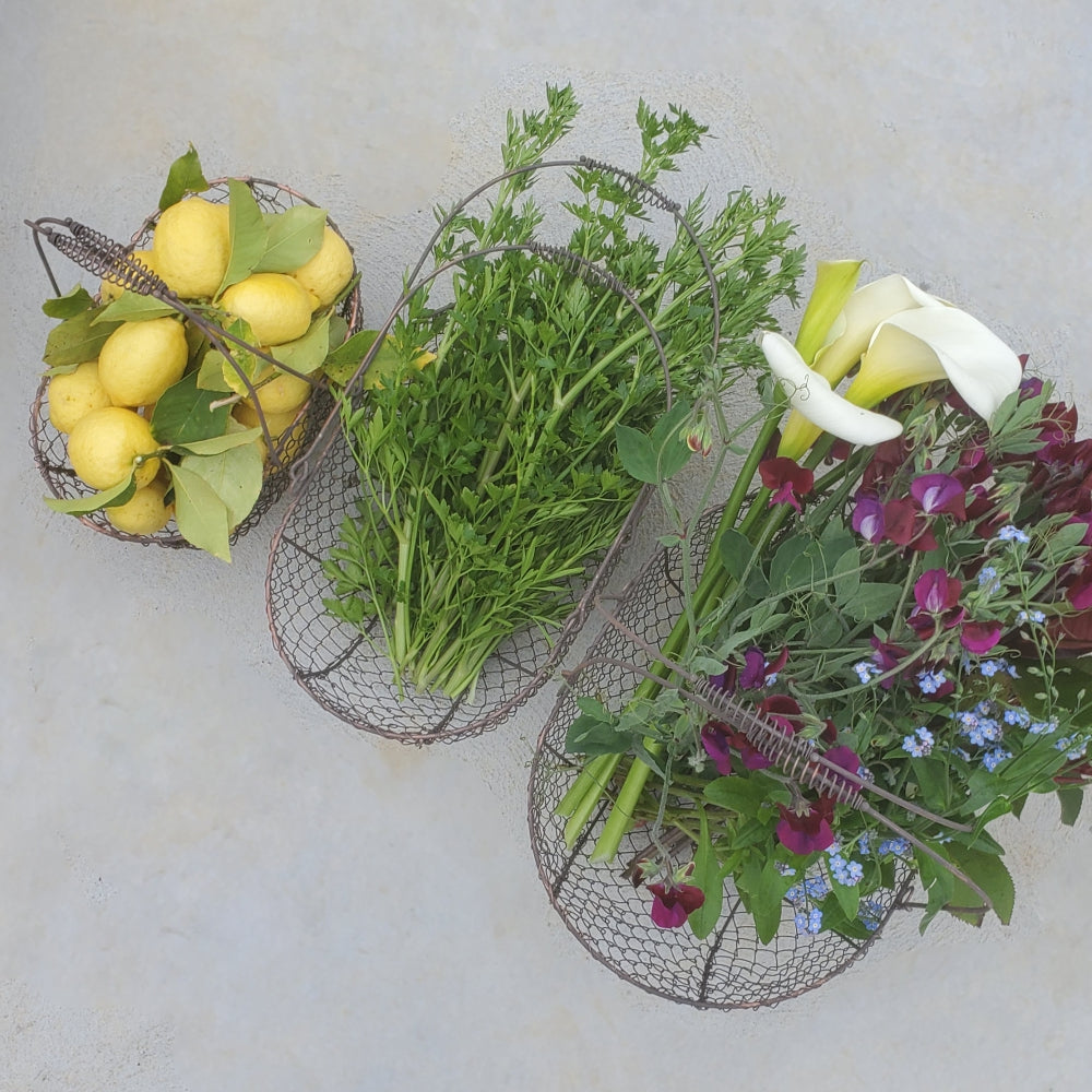 Load image into Gallery viewer, MARTHA'S VINEYARD Rounded French Style Wire Harvesting Basket Trug - Set of 3 Small, Medium, Large