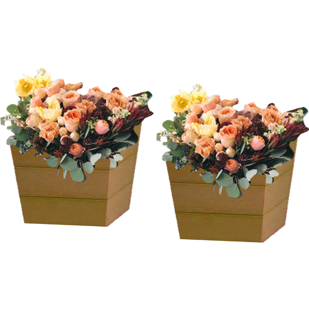 Load image into Gallery viewer, WINAWOOD Planter Pot Set of 2 - Small - New Teak **Limited Stock**