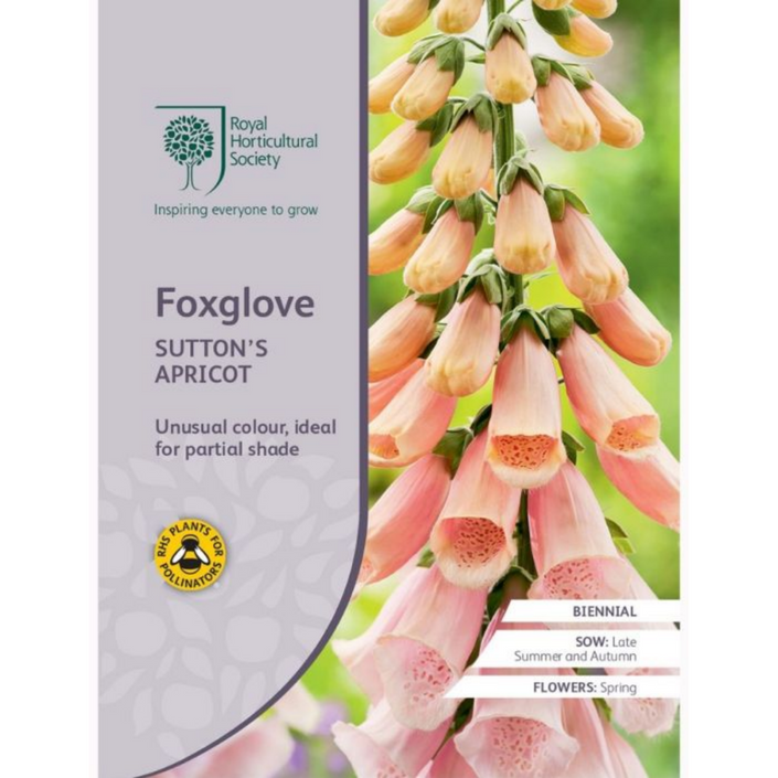 ROYAL HORTICULTURAL SOCIETY Seeds - Foxglove Sutton's Apricot