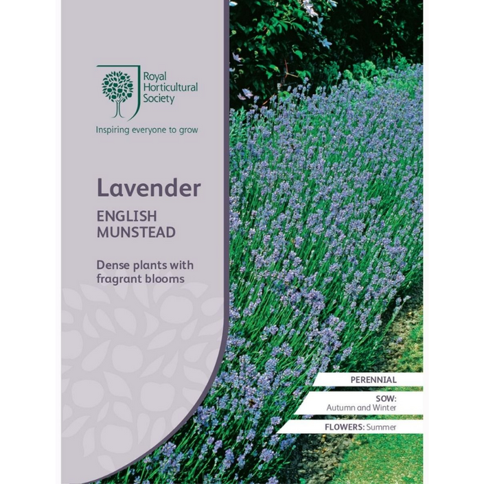 ROYAL HORTICULTURAL SOCIETY Seeds - Lavender English Munstead