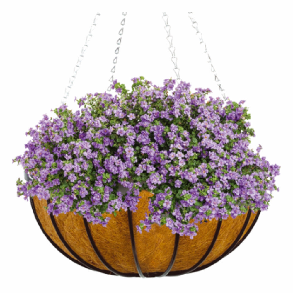 Load image into Gallery viewer, GARDMAN Georgian Hanging Basket 40cm - Steel