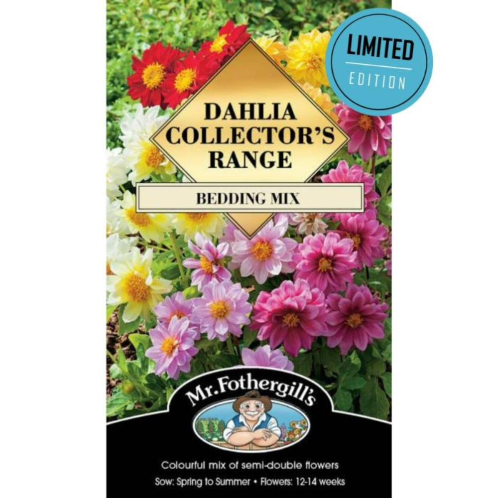 MR FOTHERGILLS Seeds Dahlia Unwins Bedding Mix