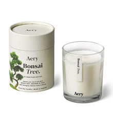 Load image into Gallery viewer, AERY LIVING Botanical 200g Soy Candle - Bonsai Tree