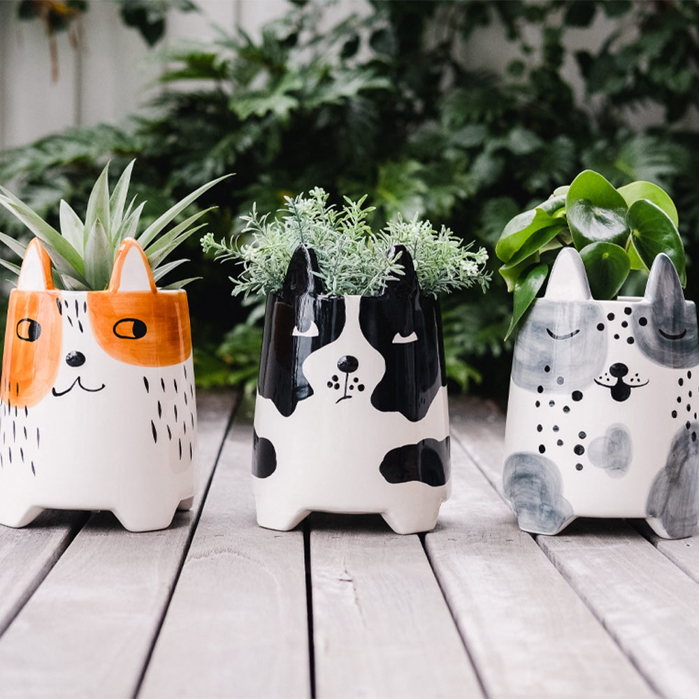 Load image into Gallery viewer, ANNABEL TRENDS Planter Set - Buddy, Daisy & Duke**LIMITED STOCK**