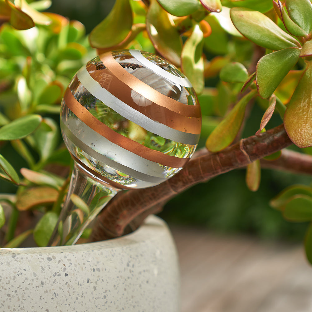 Load image into Gallery viewer, ANNABEL TRENDS Plant Water Bubble - Stripes