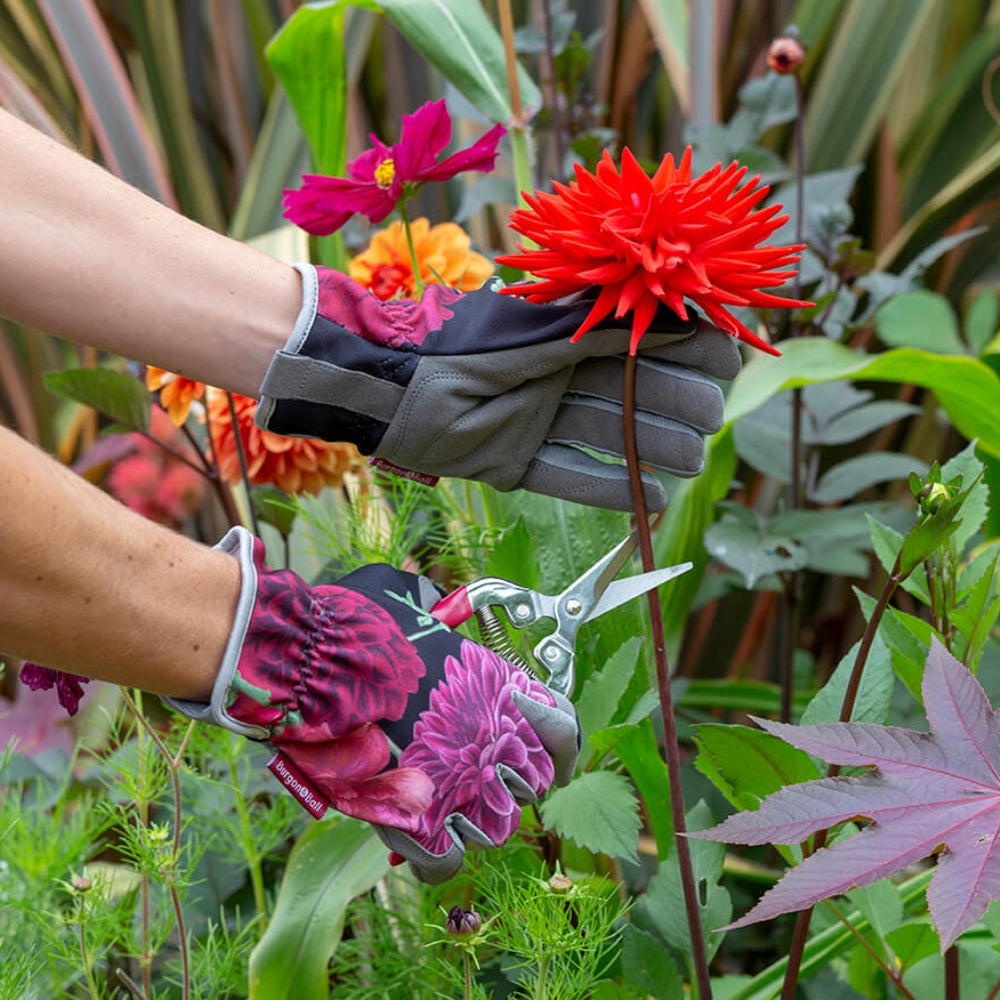 Load image into Gallery viewer, BURGON & BALL British Bloom 'Dahlia' Gloves