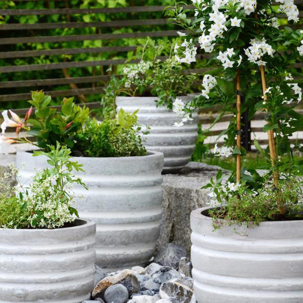 Load image into Gallery viewer, BURGON & BALL Container Scoop - RHS-Endorsed